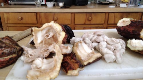 Customer's opened Cacao pods on a cutting board, with the fresh seeds separated from the husk.