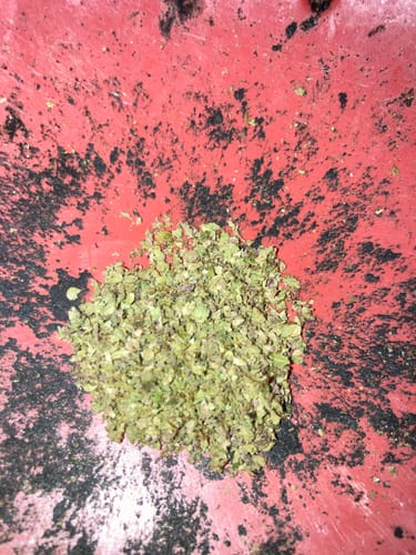 David S. review of Snozz Berries - Minis - Indoor - 28 Grams - Hybrid image 1 out of 1