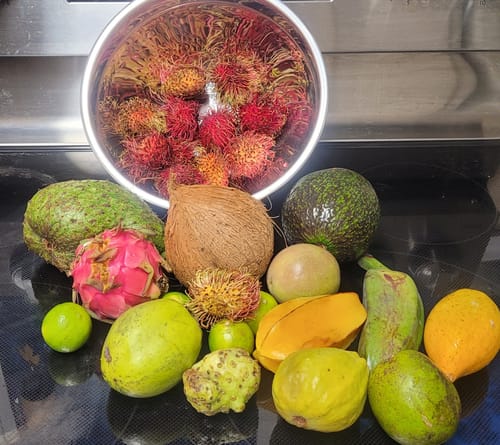 Customer photo review of Tropical Variety Box