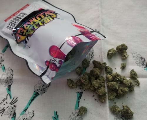 Customer photo review of Shipping Protection by Route