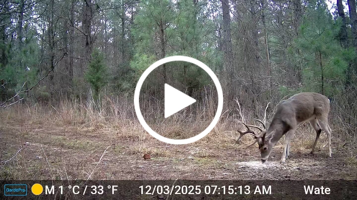 Customer video review of GardePro E8 2.0 Pro Wi-Fi Trail Camera