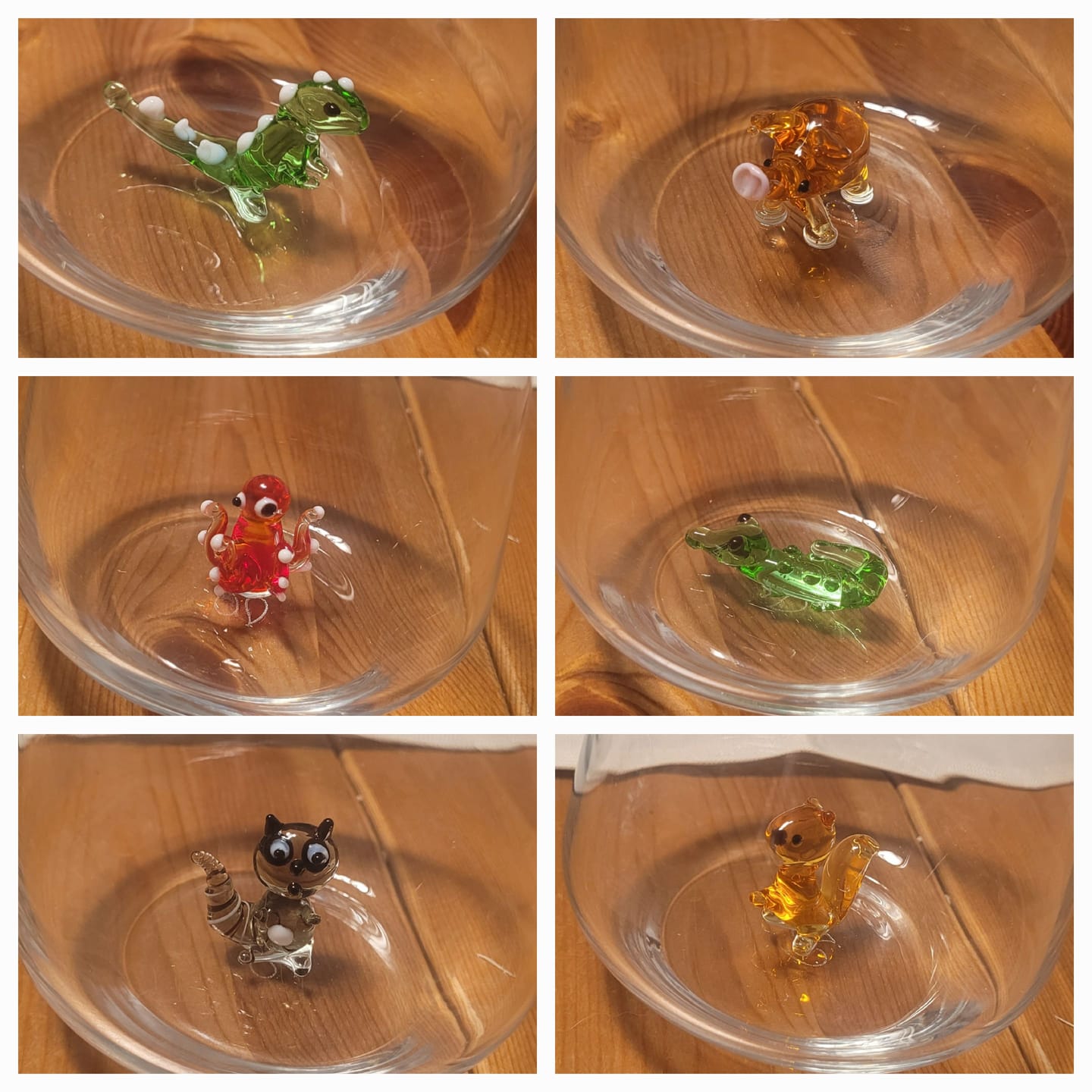 Customer photo review of Crocodile Glass