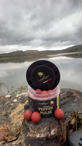 Customer photo review of PACK AMBASSADEUR