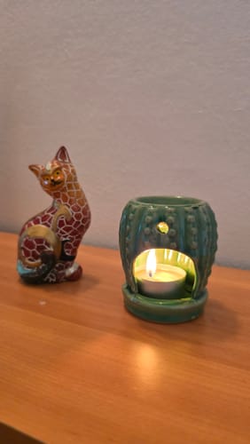 Diana C. review of Mini Quemador “Cactus” image 1 out of 1