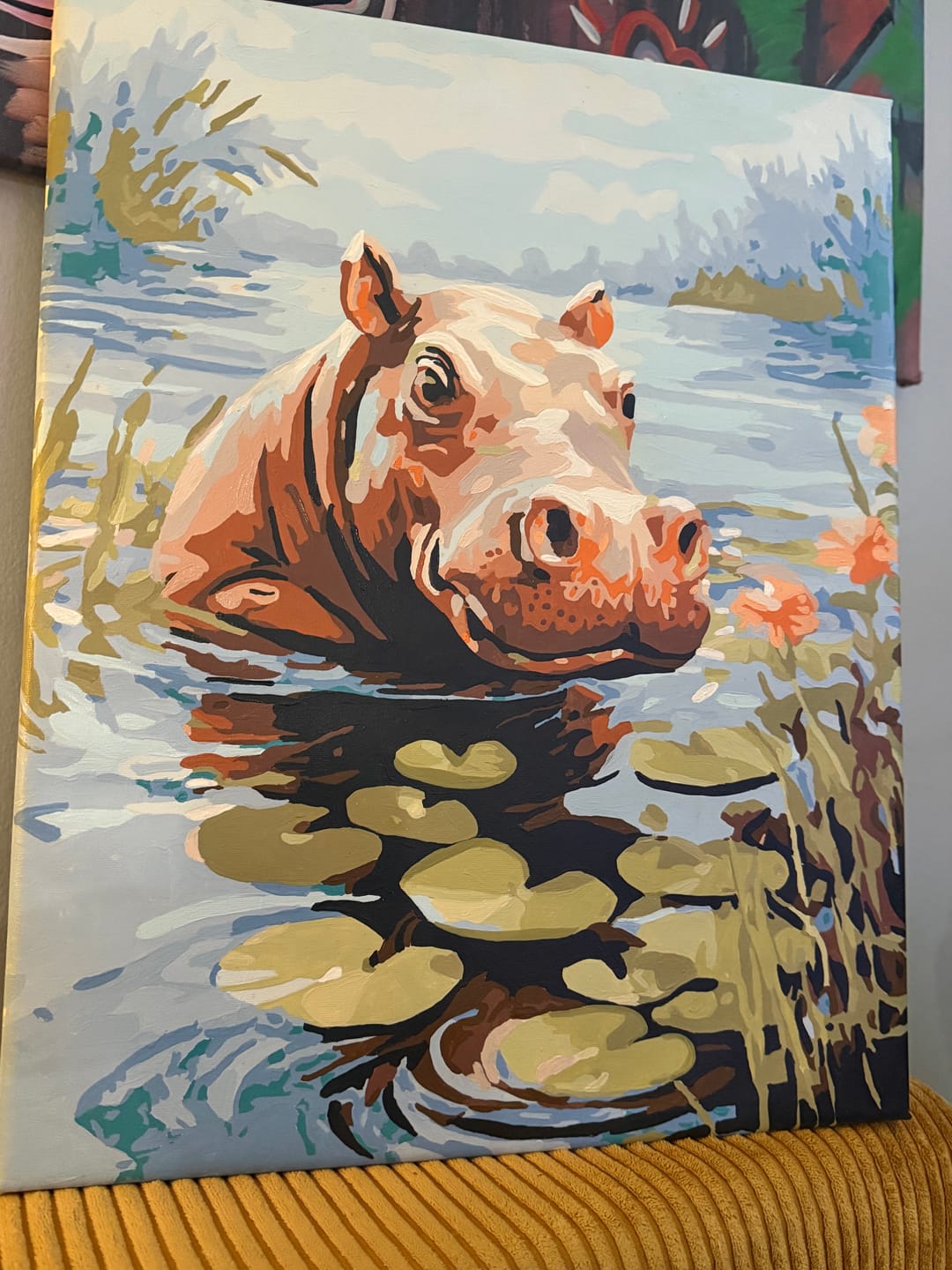 Customer photo review of Young Hippo