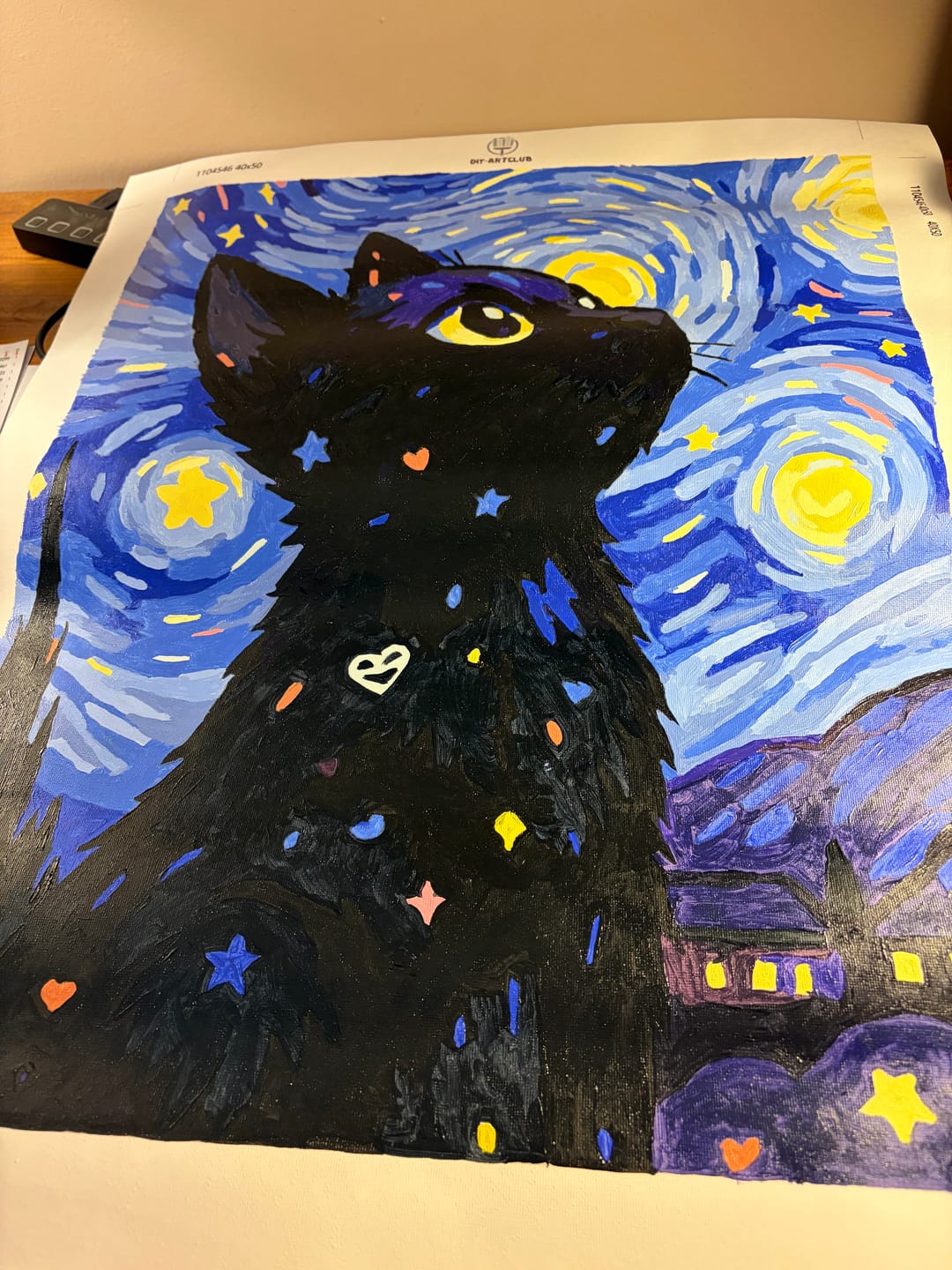 Customer photo review of Cat at the Starry Night | Paint by Number