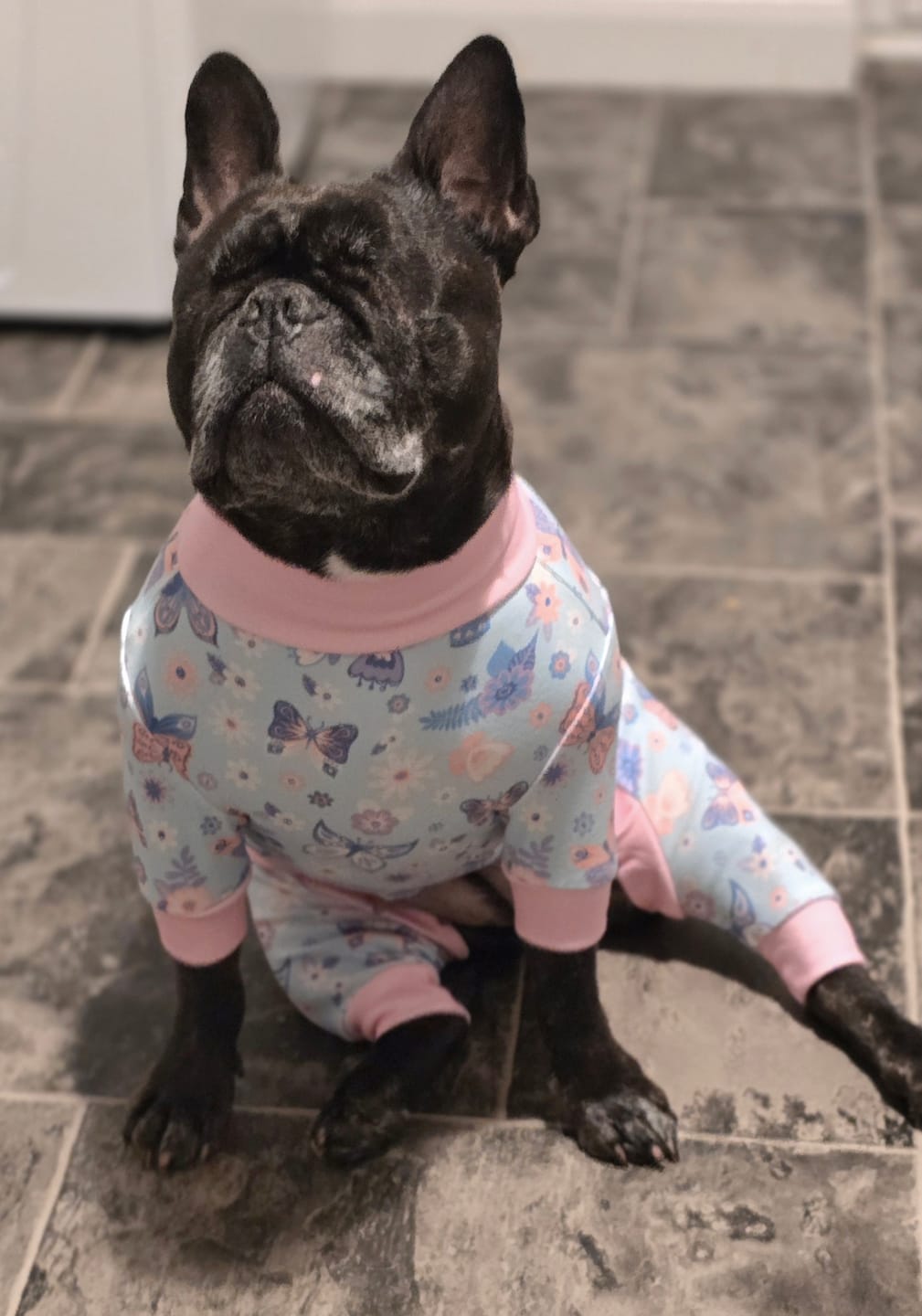 Customer photo review of Dog Pajama - Butterfly