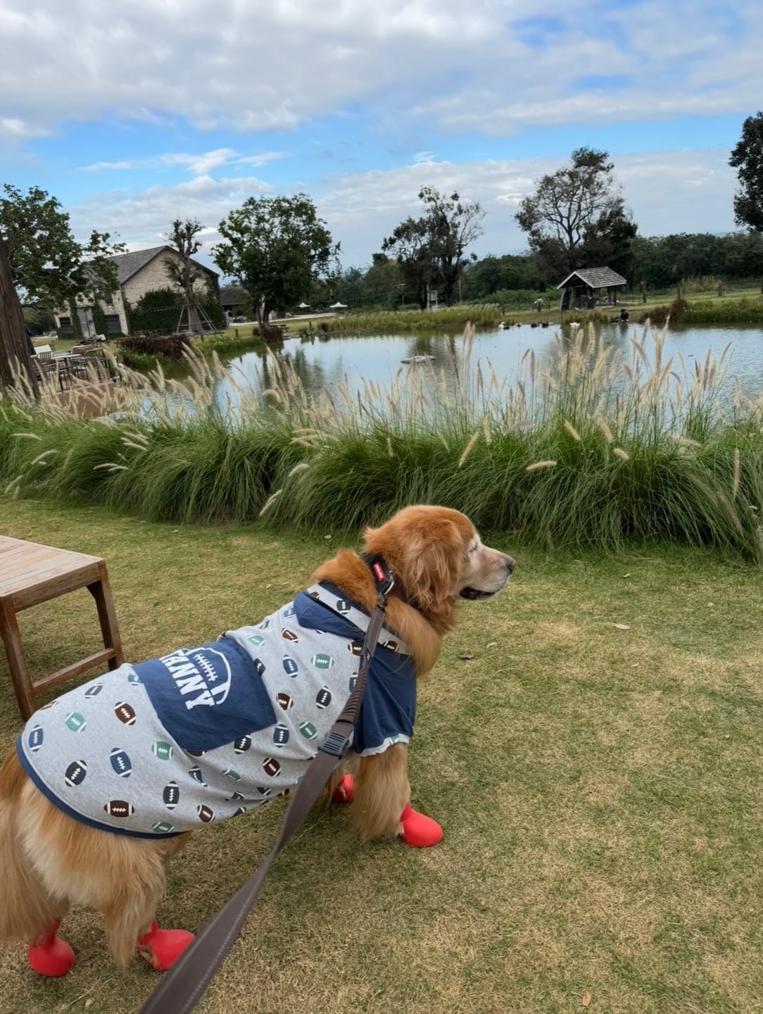 Customer photo review of WagWellies® by wagwear