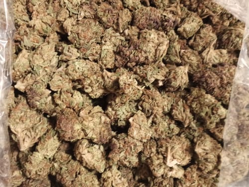 Neil T. review of Gas Face - Bulk - Indica image 1 out of 1