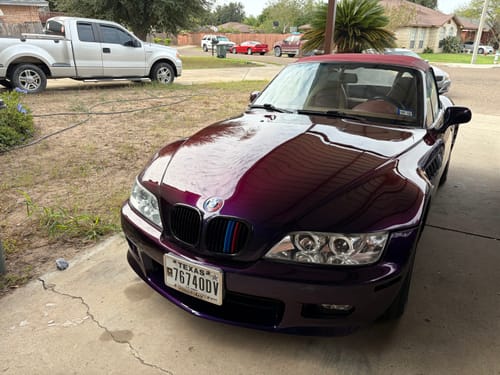 Customer photo review of Wineberry Paint Basecoat