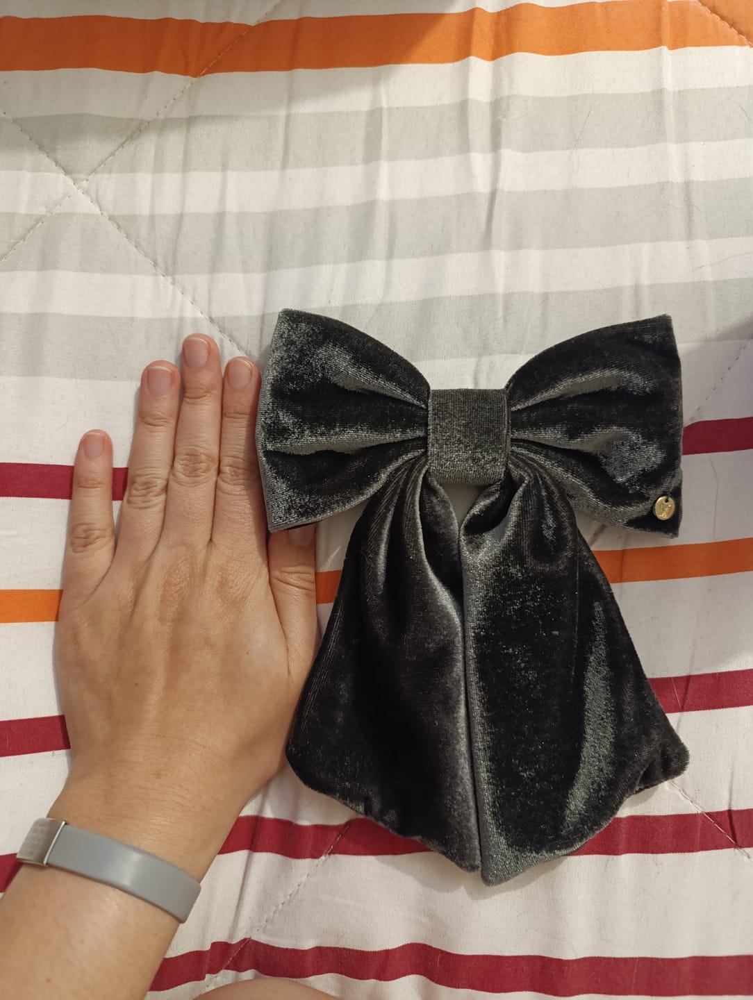 Customer photo review of Moño - Large velvet Bows