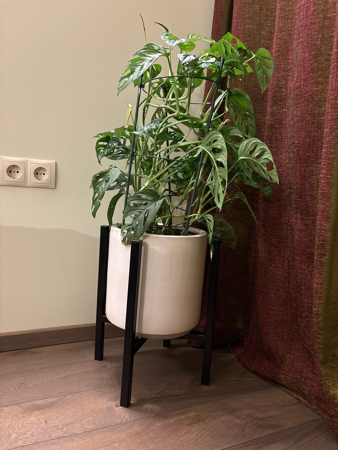 Customer photo review of Vazonų stovas GELA