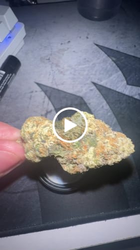 Noah T. review of Pine Park Perm Marker Classic Flower image 1 out of 1