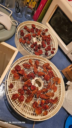 Customer photo review of World's Hottest Peppers 3 Pack