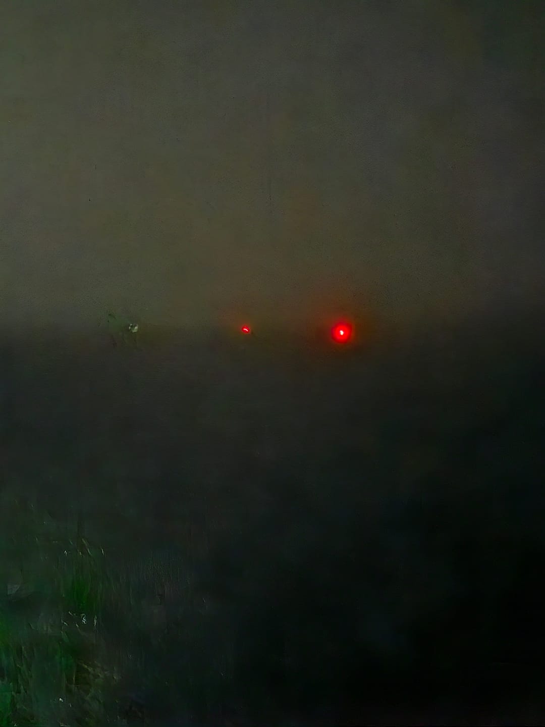 Customer photo review of Safety Light - 4-i-1 Lygte Til Hund