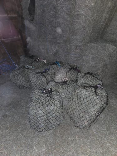 Customer photo review of 4 For $100 Deal