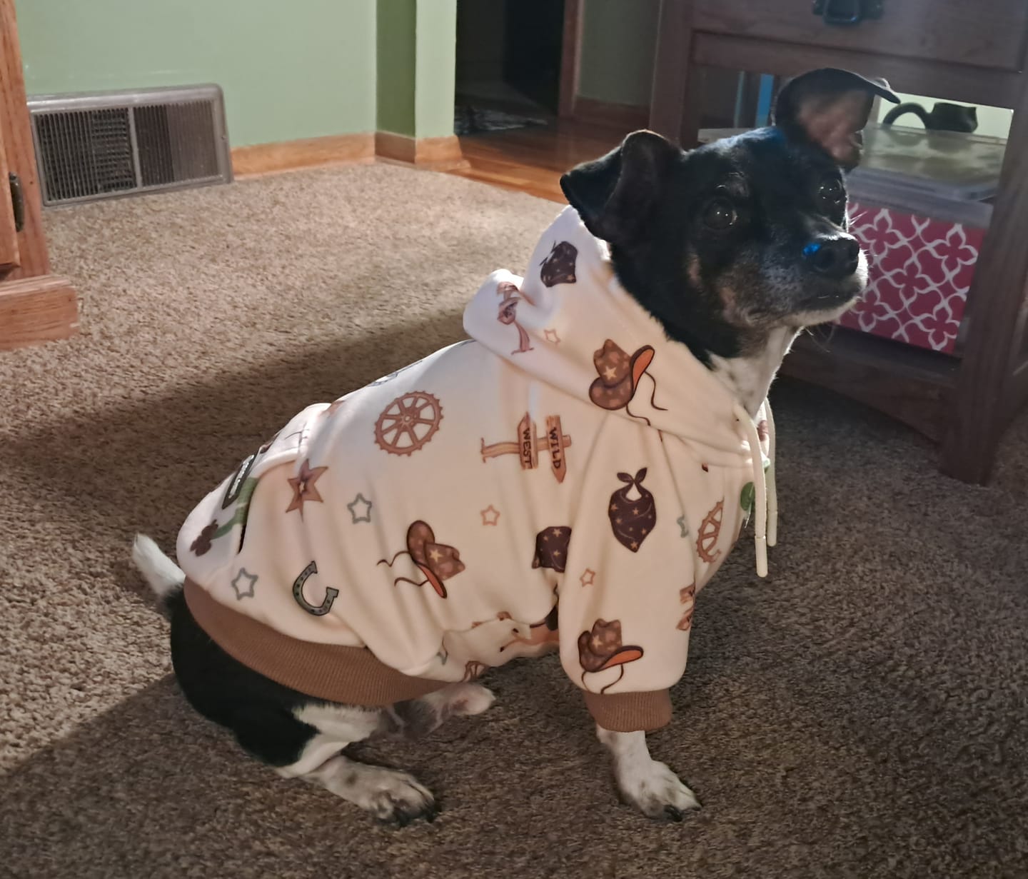 Customer photo review of Rodeo Dog Hoodie