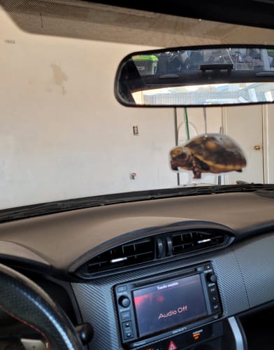 Nancy P. review of Custom Air Freshener image 1 out of 1