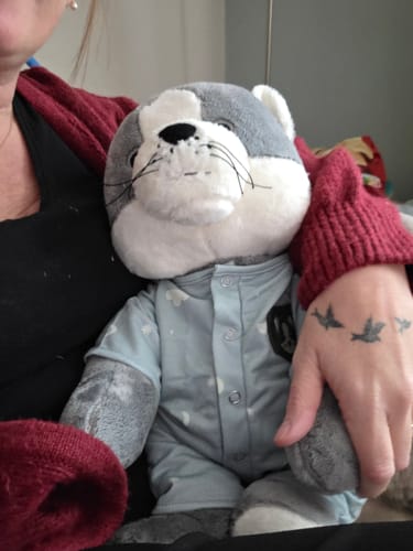 Inge review of Lotgenootje Kat 2kg image 1 out of 1