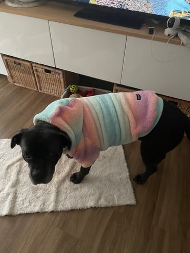 Alexandra Z. review of Fluffdreams Blanket Dog Hoodie - Pastel Icing image 1 out of 2