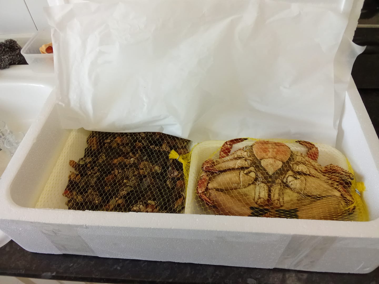 Customer photo review of Buey de mar
