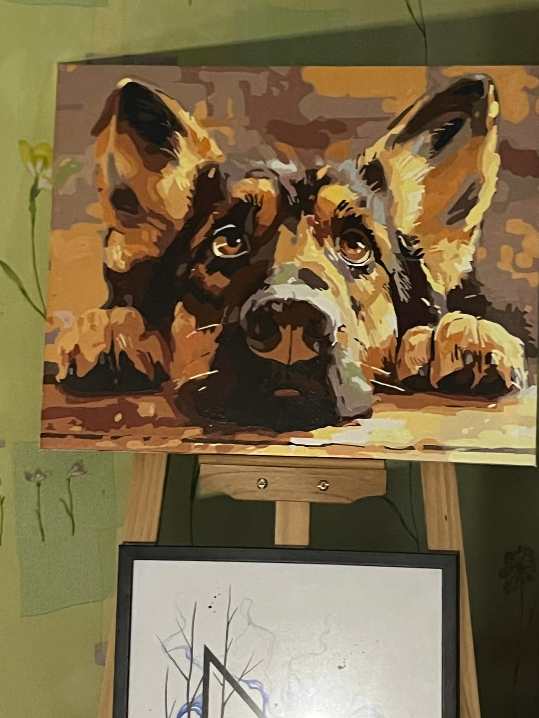 Customer photo review of Bored Shepherd