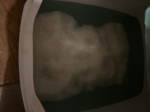 Customer photo review of 1 Month Supply – 3 Cat