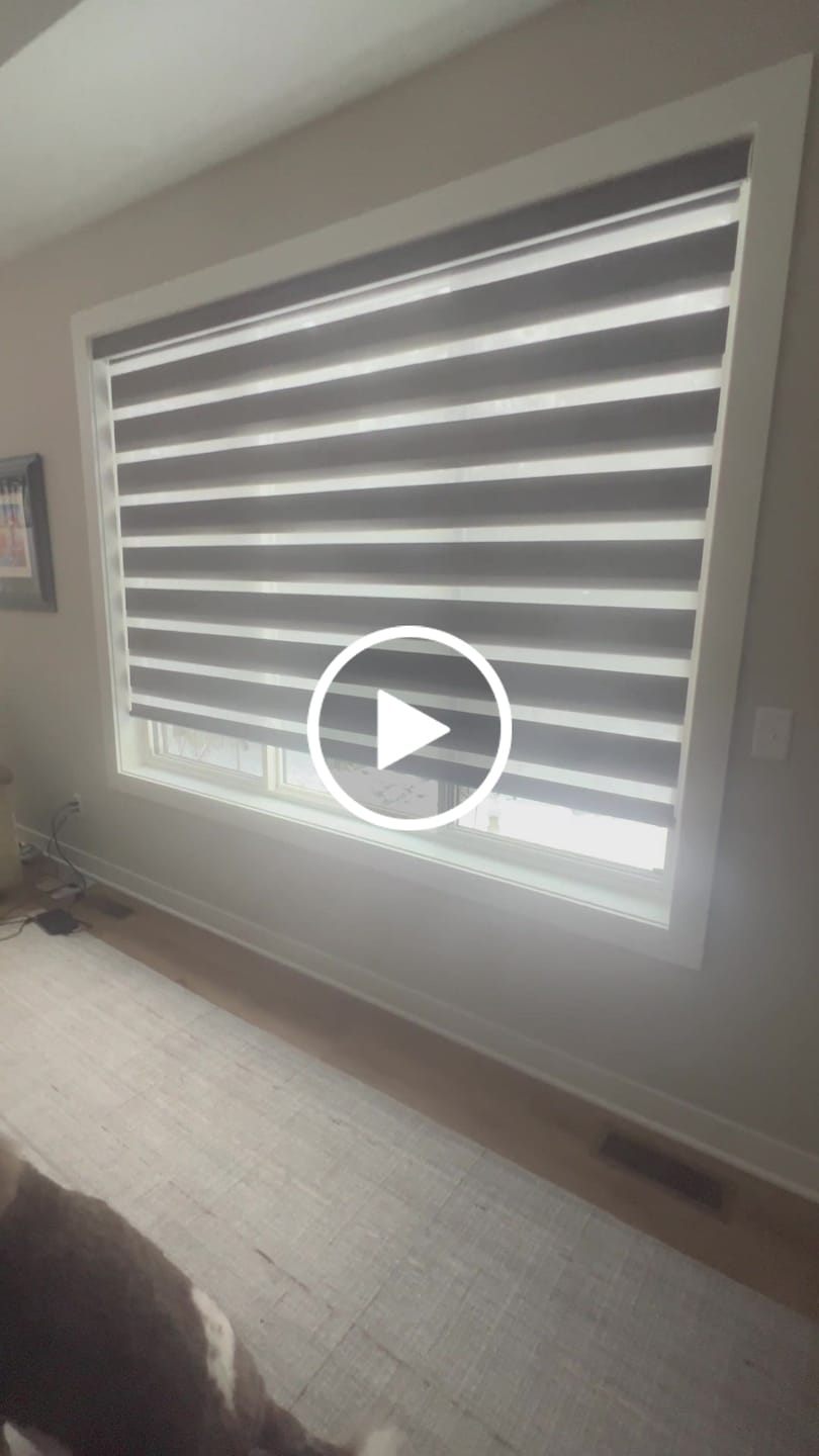 Customer video review of SmartWings Motorized Zebra Shades 85% Blackout 95mm Ingrid