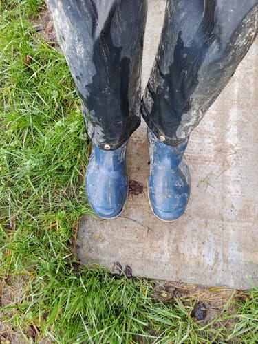 Customer photo review of Blizzard Wellington