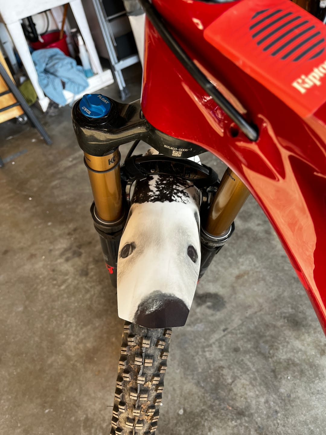 Customer photo review of Custom Fender