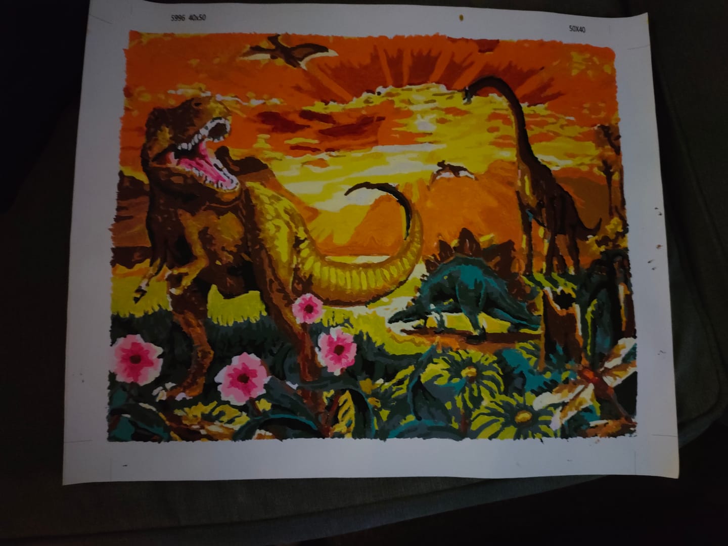 Customer photo review of Dinosaur Diy Paint By Numbers Kits WM-930