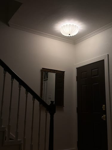 Customer photo review of Modern 3-Light Milky White Daisy Glass Semi-Flush Mount