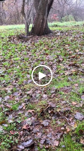 Customer video review of Haven Tent Rainfly