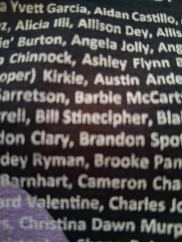 Customer photo review of Round 174 (Unisex Classic Tee | Gildan)