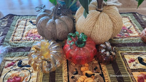 Customer photo review of Cinnamon Sugar Squat: Best In Show
