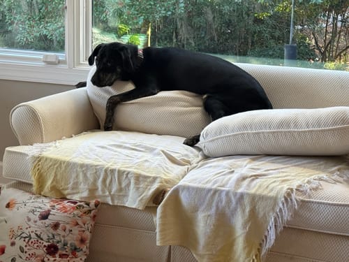 Customer photo review of Daily Multi