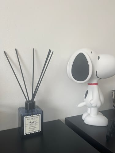 Sylvie L. review of Istanbul Bosphorus Geurstokjes 120ml image 1 out of 1