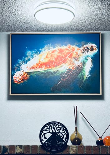 Customer photo review of Deep Blue Sea Turtle - Watercolor