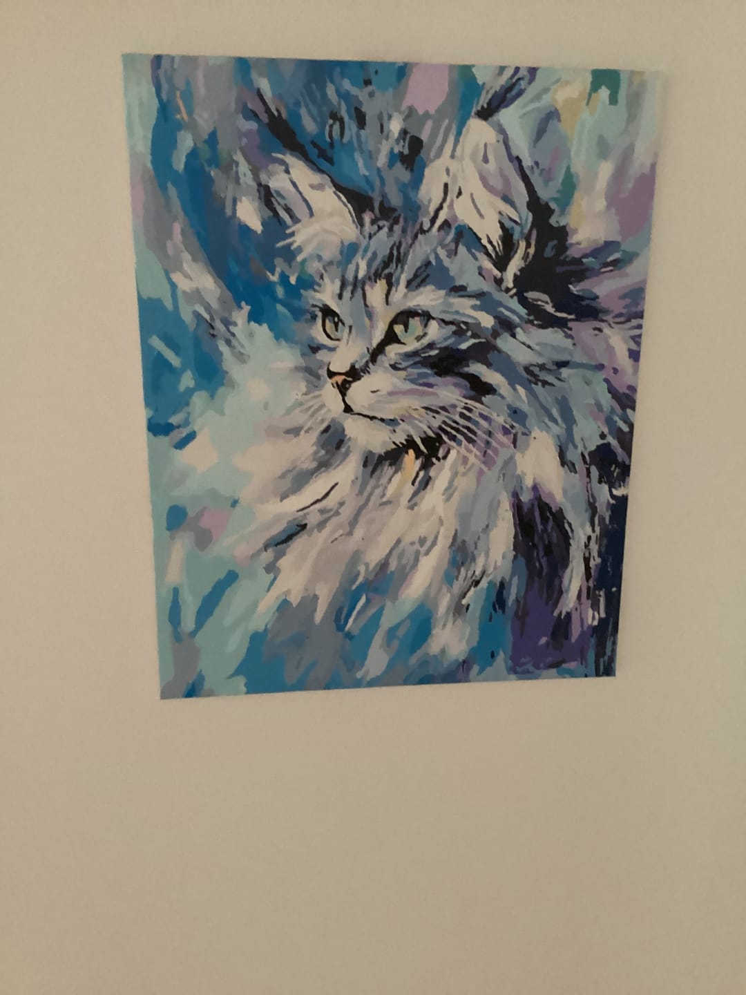 Customer photo review of Abstract Maine Coon