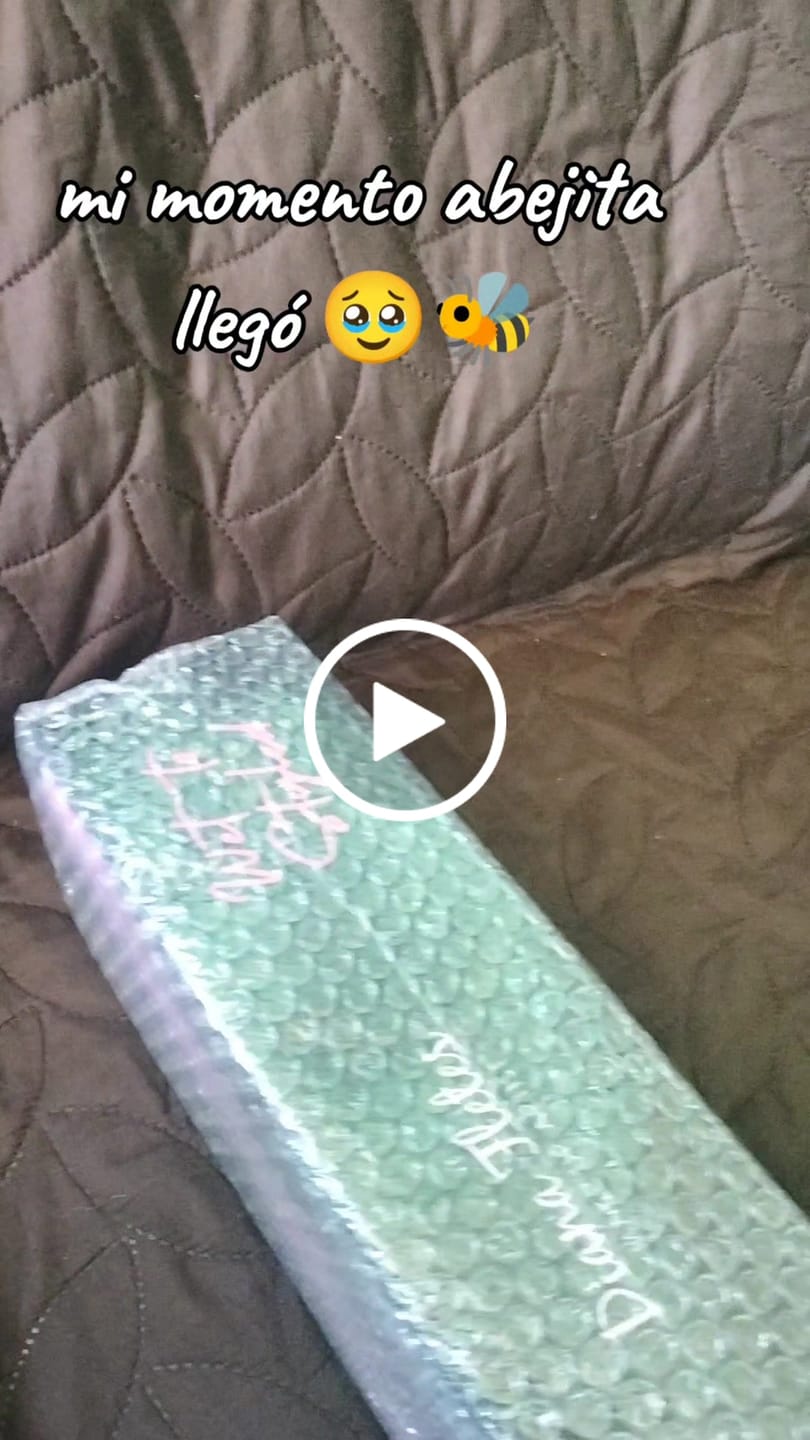 Customer video review of Plancha 2 En 1 Diana Fletes Para Cabello Húmedo y Seco TiTanium Galvanizado