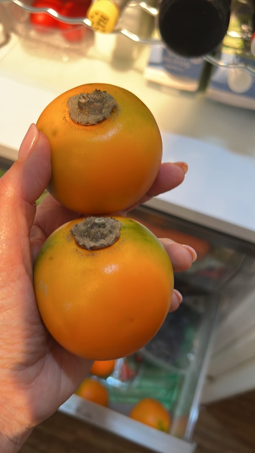 Customer photo review of Lulo (Naranjilla)