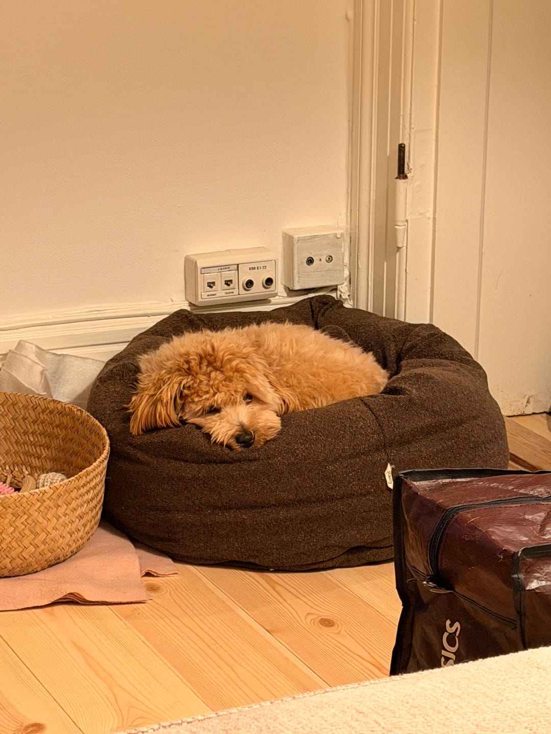 Customer photo review of Staey - Luna 3.0 Hundeseng, Chestnut Bouclé