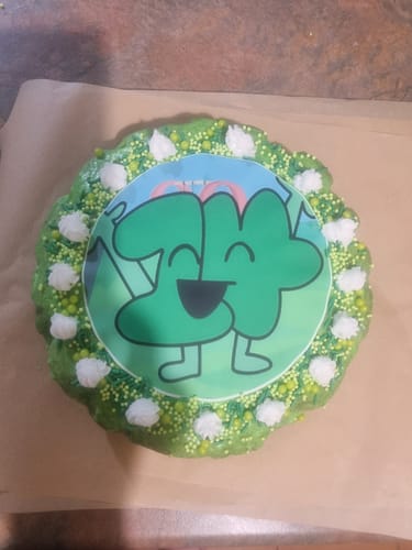 Customer photo review of 15 cm Round Custom Edible Icing Image