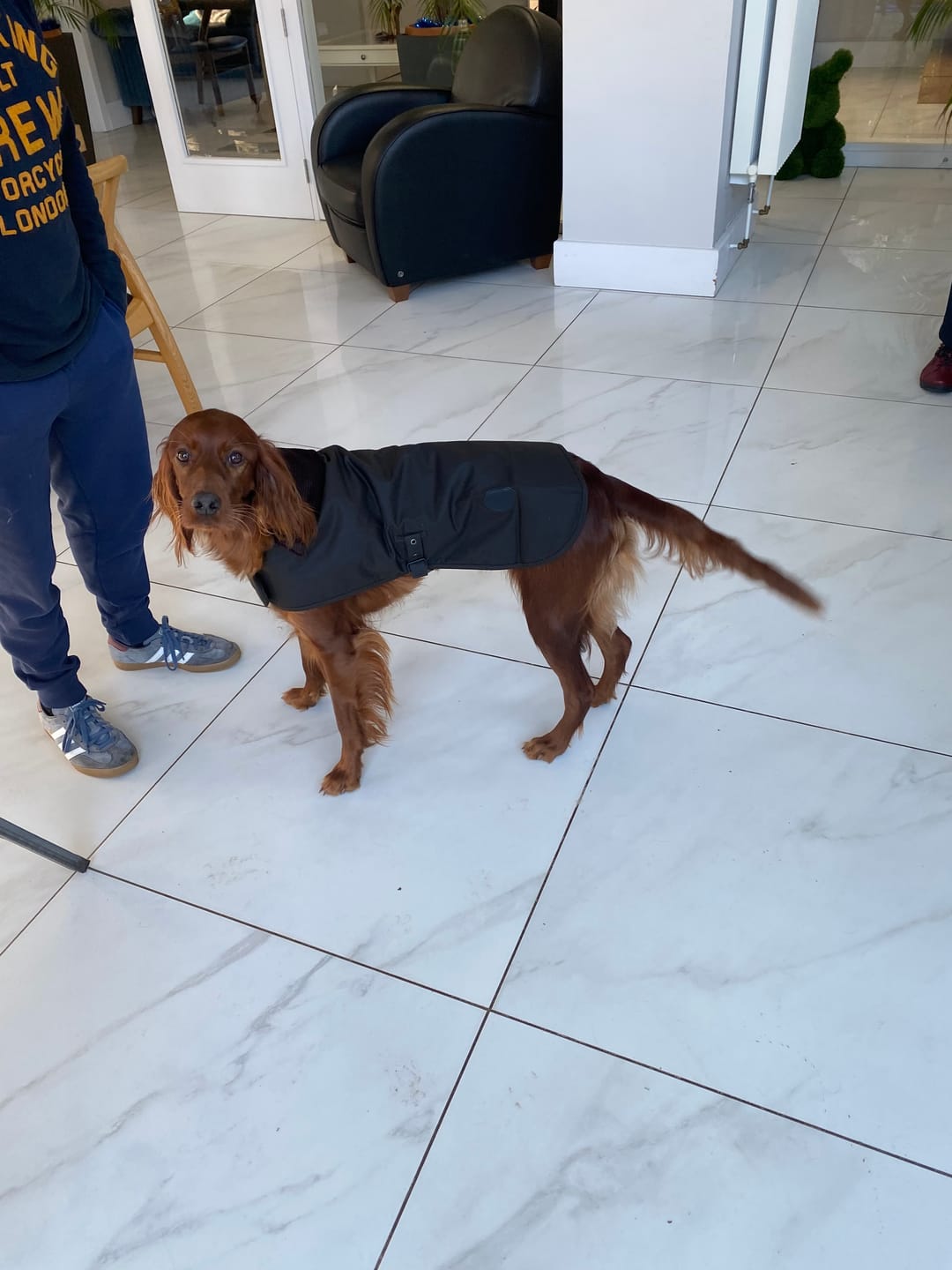 Customer photo review of Barbour Wax Dog Coat - Olive  0003