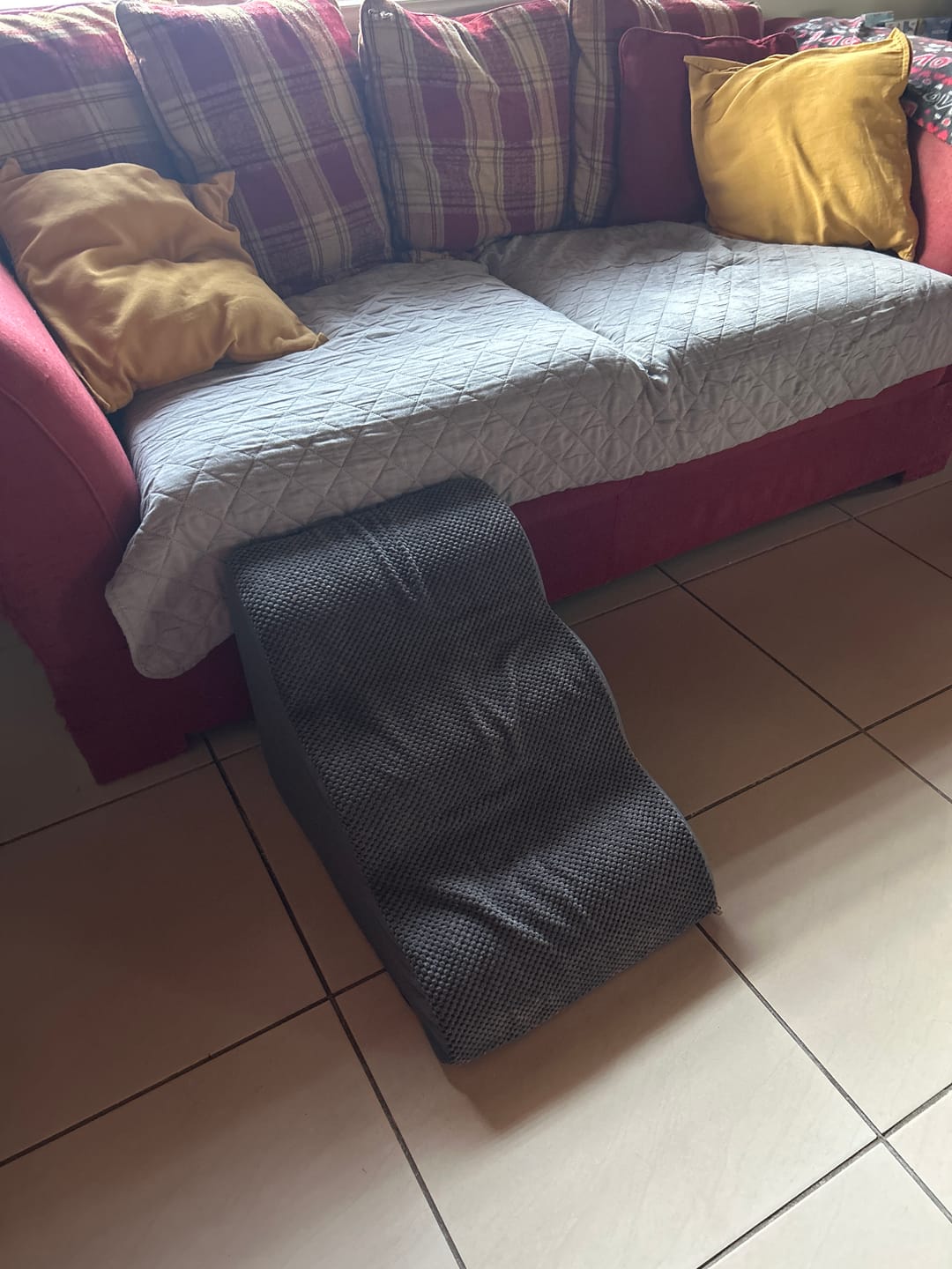 Customer photo review of Foam Pet Steps for Small & Large Dogs