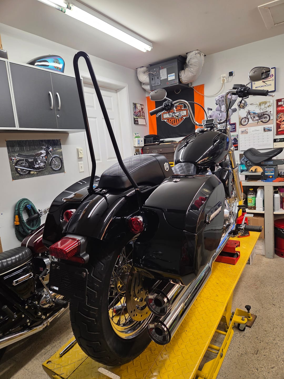Customer photo review of 32L - Darkin Large Quick Mount Painted Hard Saddlebags for Harley Softail Standard FXST