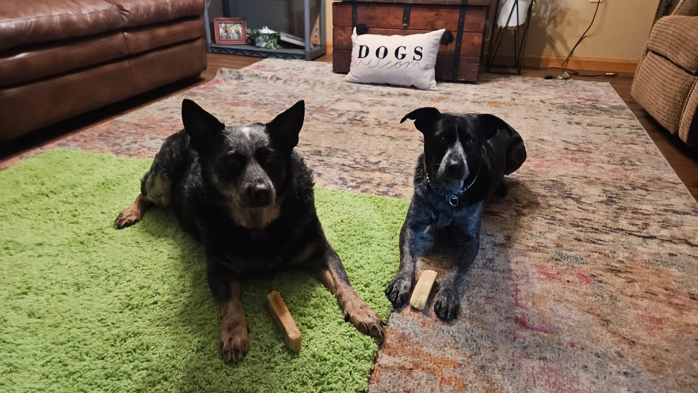 Customer photo review of Himalayan Yak Chew (LARGE)