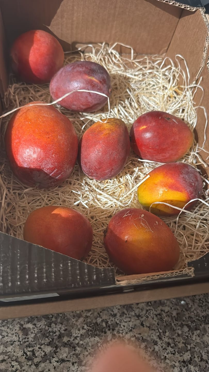 Customer photo review of Mango Sensacion Bio von Paco Sonderpreis %