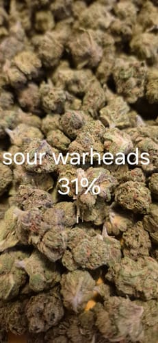 T. L. review of Cheap THCA Smalls Pound image 1 out of 1