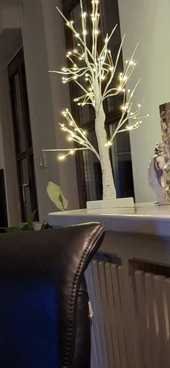 Customer photo review of Bäumlein® - 144 LEDs (Winter Edition)